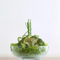 LAV Tokyo Salatschale 1500 ml