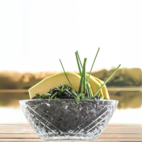 Glasschalen Set Elis 6er Set 320ml Lav