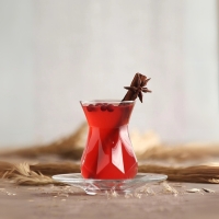LAV Alya Teeglas-Set 12-teilig — 6 Çay-Gläser 165 ml + 6 Untertassen