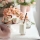 LAV Highball Glas Set Diamond 385ml 6er Set vielseitige Gläser für Wasser Softdrinks Cocktails