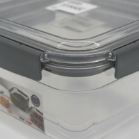 Frischhaltedosen-Set 3-teilig, quadratisch, luftdicht, Transparent/Grau, TINGLI STORAGE